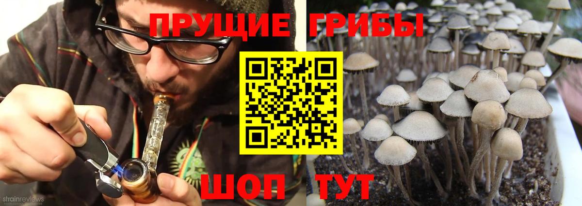 Черняховск  где продают наркотики  Вход с VPN  Галлюциногенные грибы мухоморы 